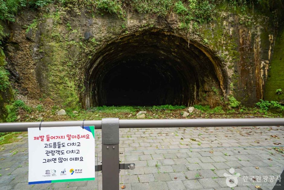 경기_연천_역고드름 (4)