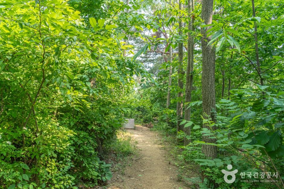 부천_역곡공원 (3)