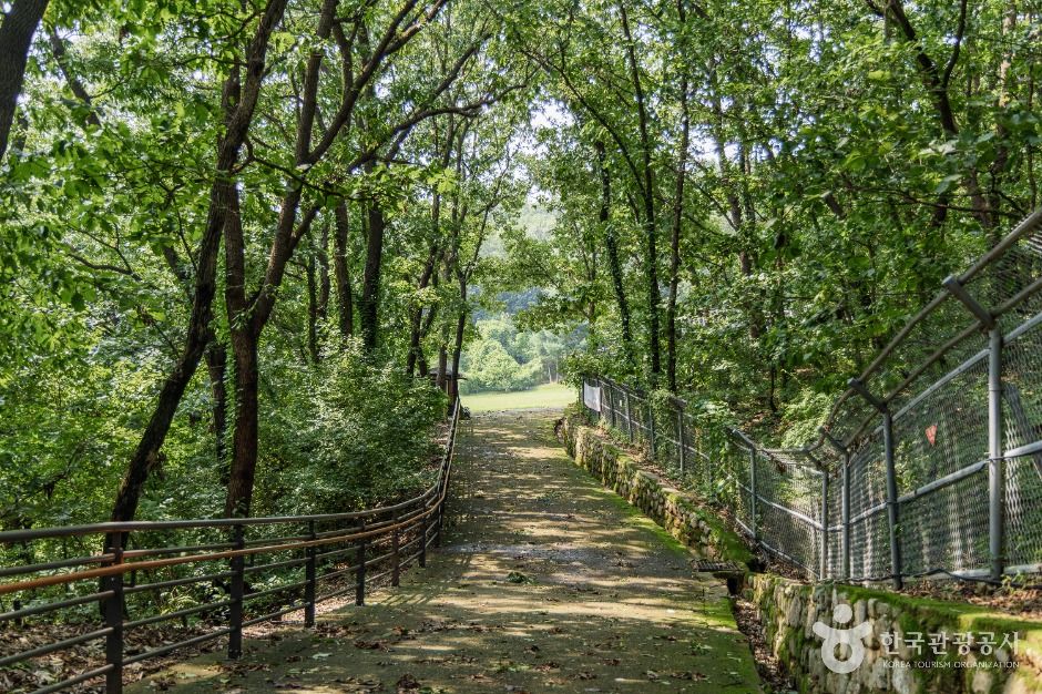 연천_연천 경순왕릉 (6)