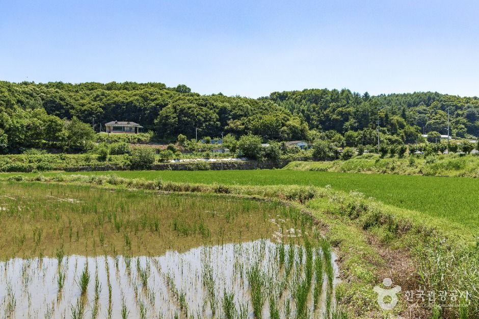 연천_연천 나룻배마을 (3)