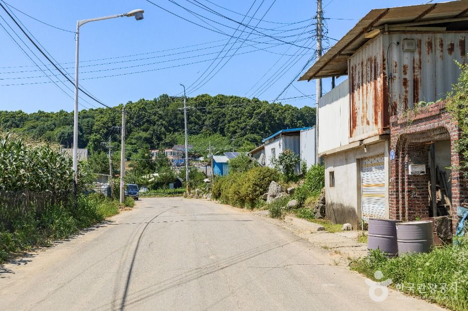 연천_연천 나룻배마을 (5)