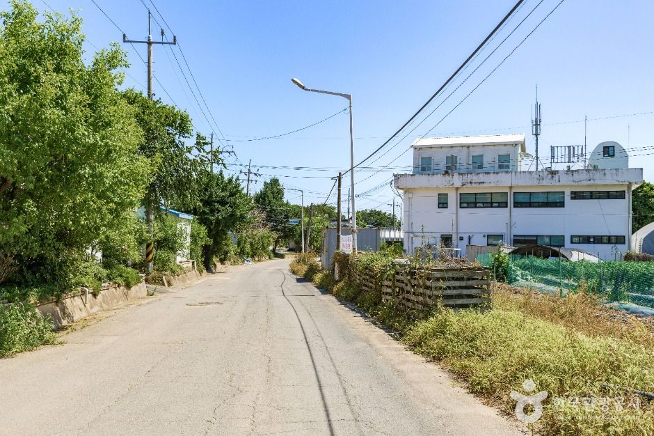 연천_연천 나룻배마을 (8)