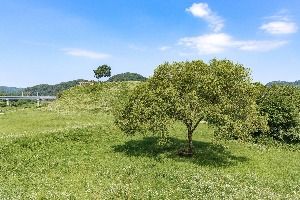 당포성 (한탄강 유네스코 세계지질공원)