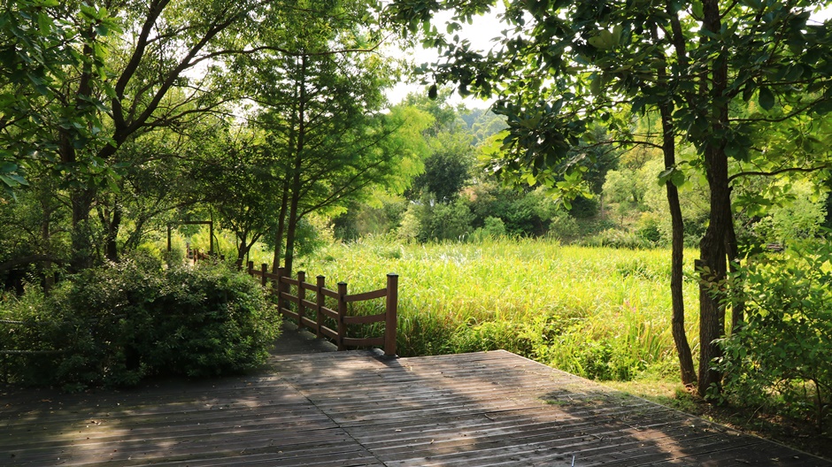 연천로하스파크_습지산책로