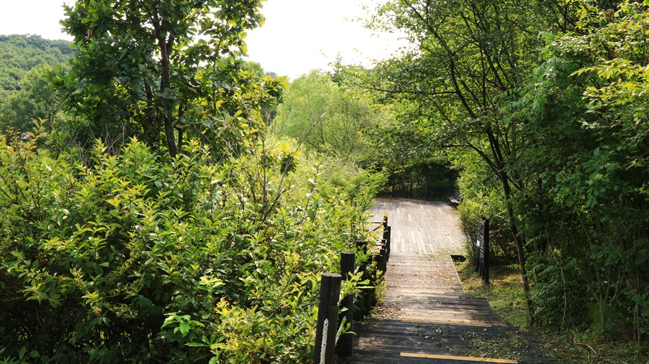 연천로하스파크