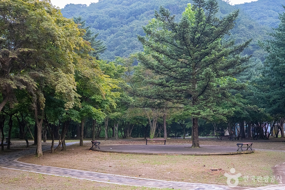 영국군 설마리전투 추모공원 (4)