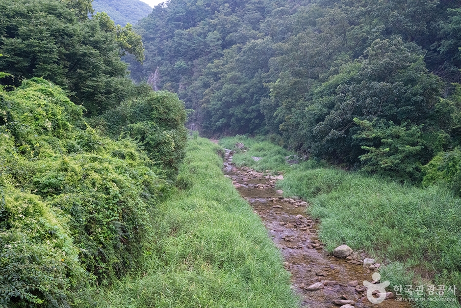 영국군 설마리전투 추모공원 (8)