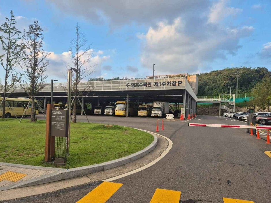 영흥숲공원_주차장전경2