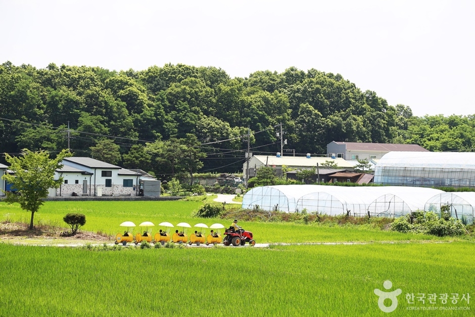 예크생물원 (18)