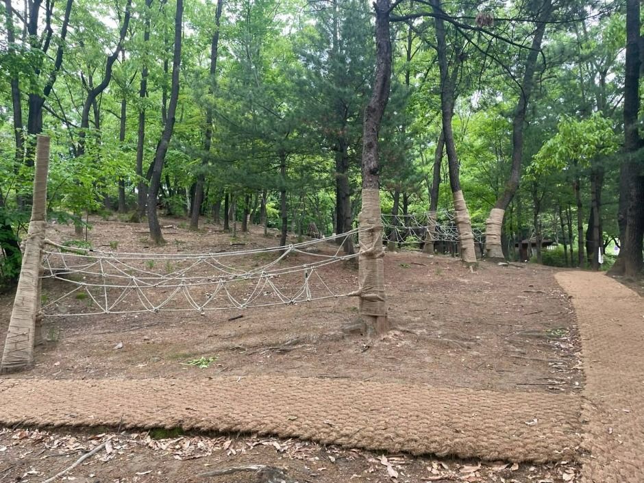 의정부_오목문화 유아숲체험원 (4)
