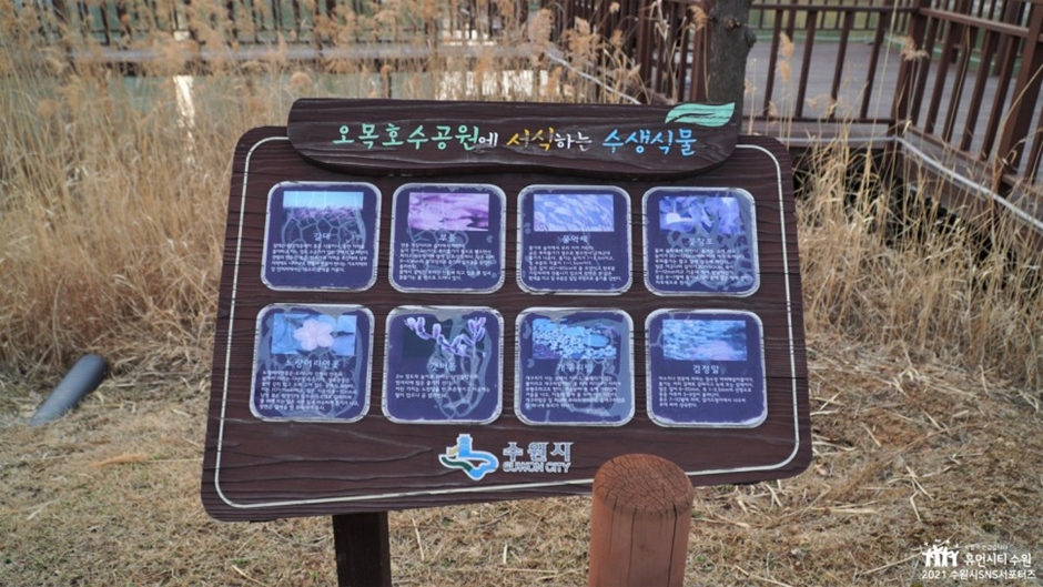 오목호수공원_수생생물안내판