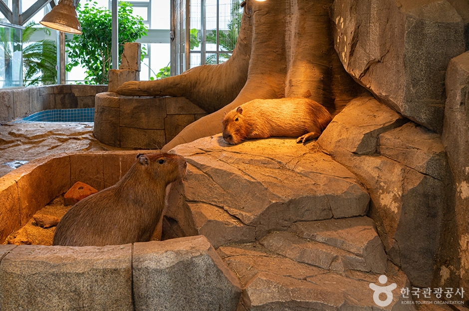 오산버드파크 (4)