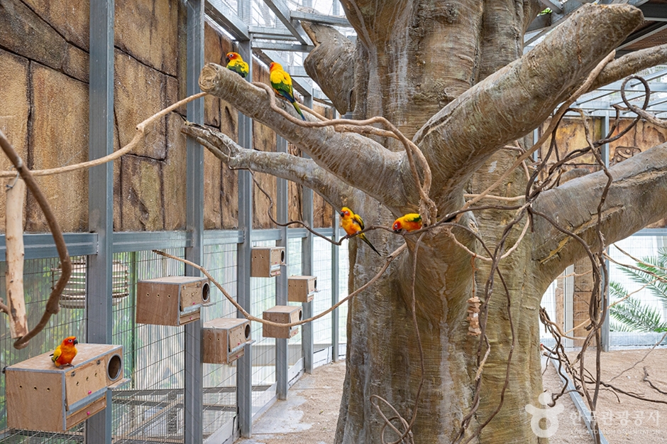 오산버드파크 (10)