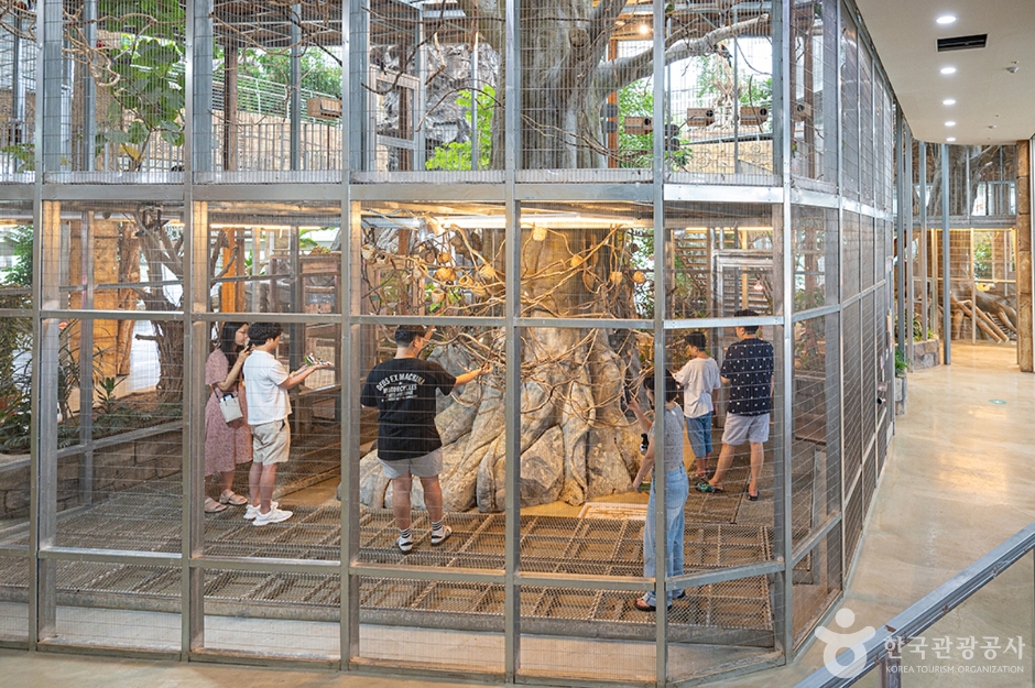 오산버드파크 (12)