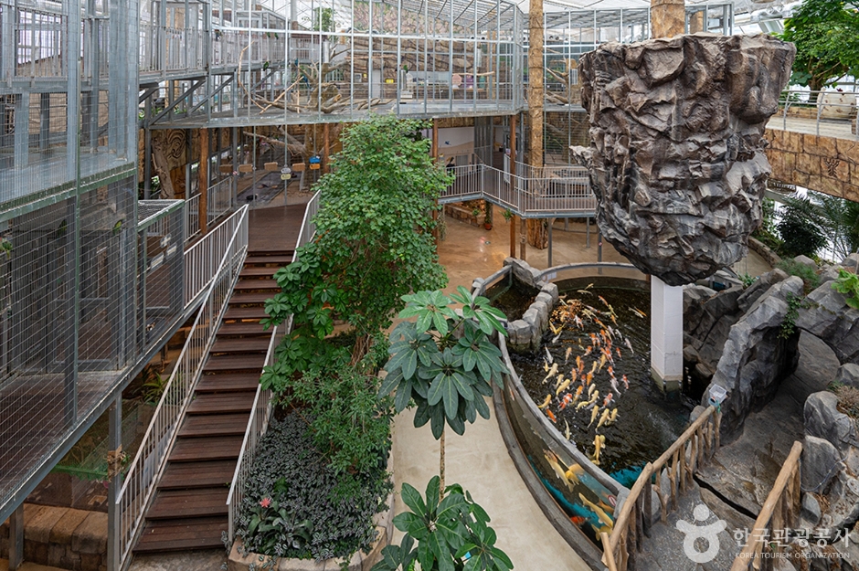 오산버드파크 (13)