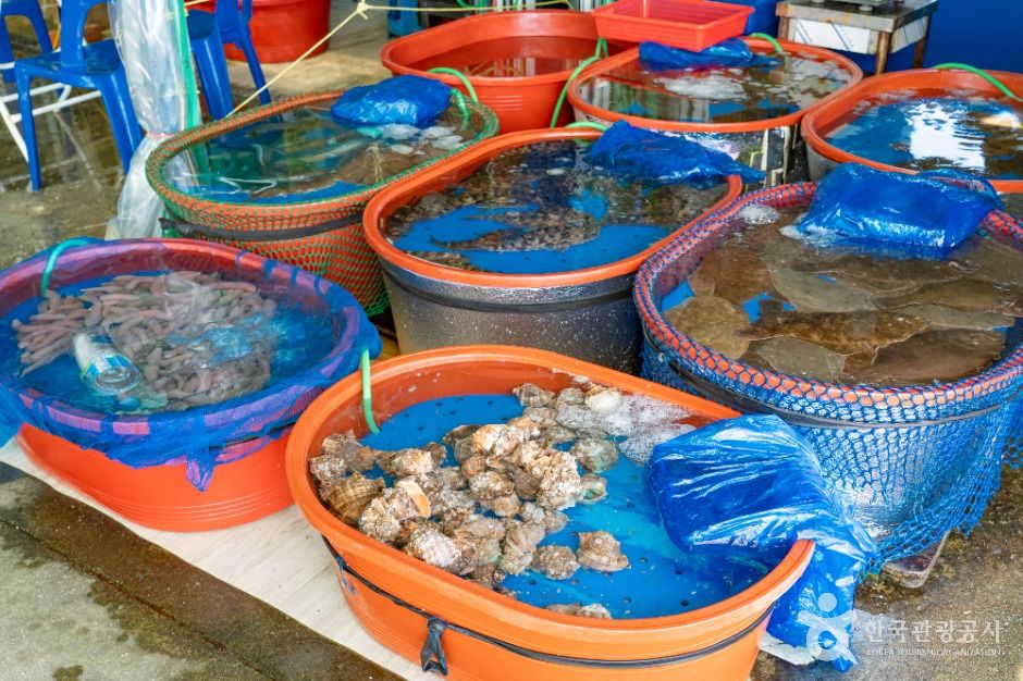 시흥_오이도선착장 (7)