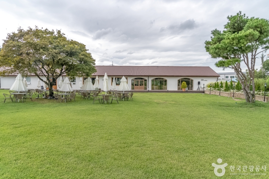 오하포도농원 (18)