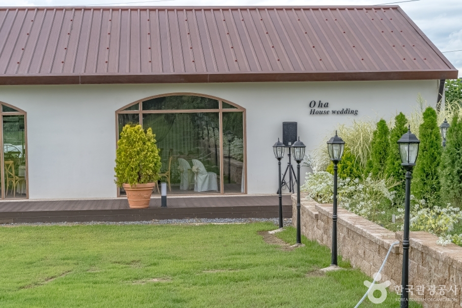 오하포도농원 (19)