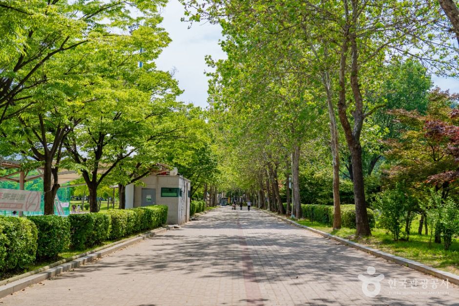 시흥_옥구공원 (6)