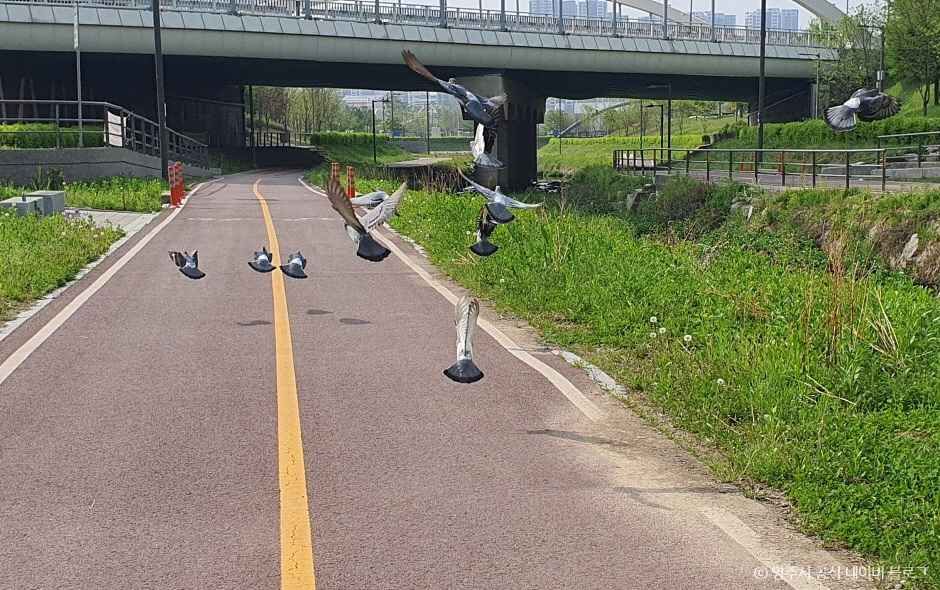 경기_양주_옥정호수공원 (6)