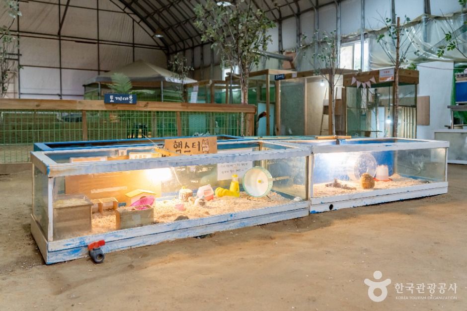 시흥_온동물체험농장 (3)