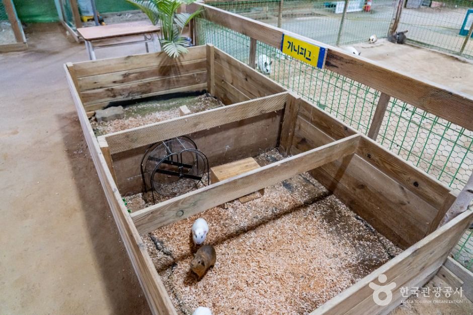 시흥_온동물체험농장 (4)