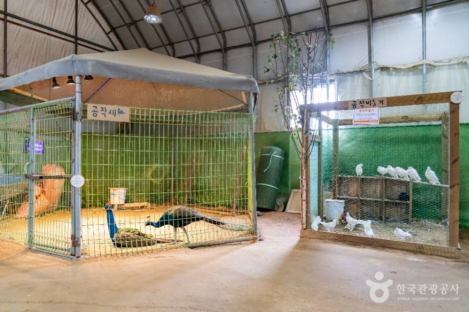 시흥_온동물체험농장 (5)