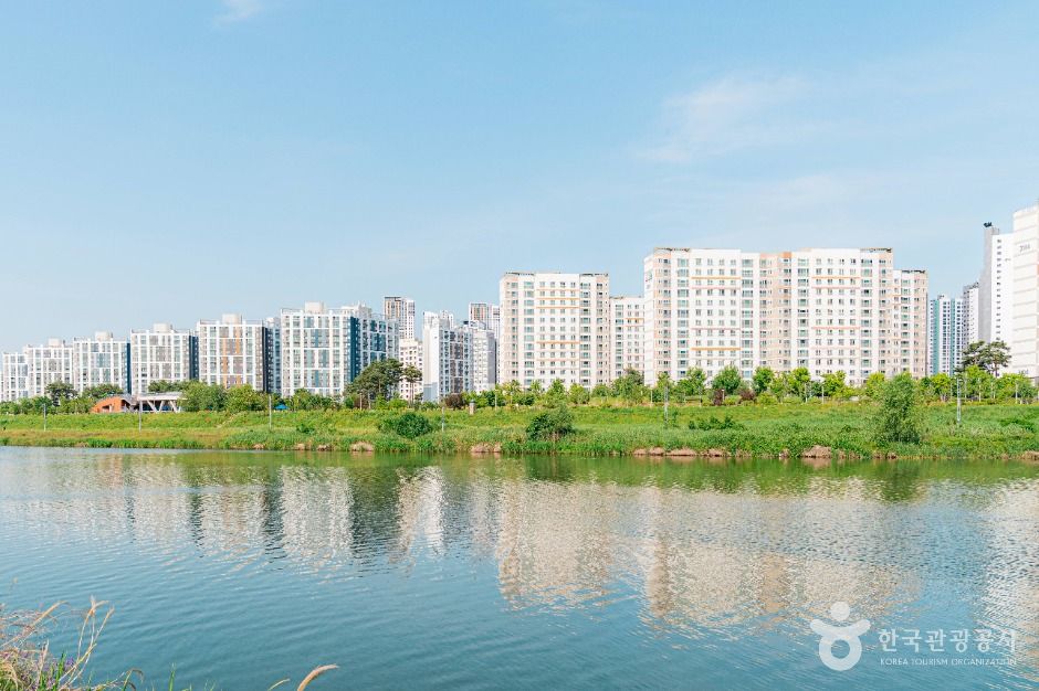 구리_왕숙천시민공원 (1)