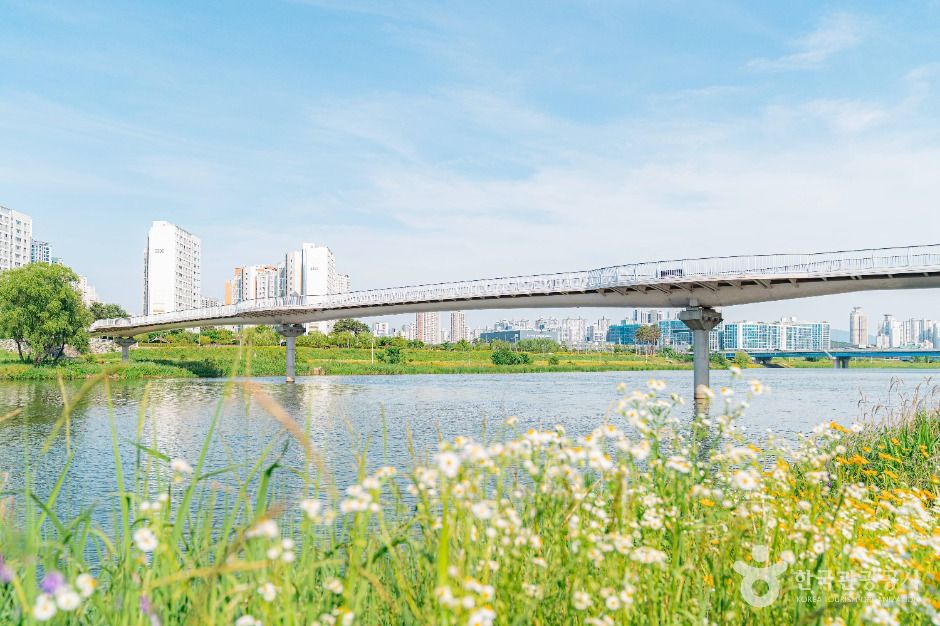 구리_왕숙천시민공원 (3)