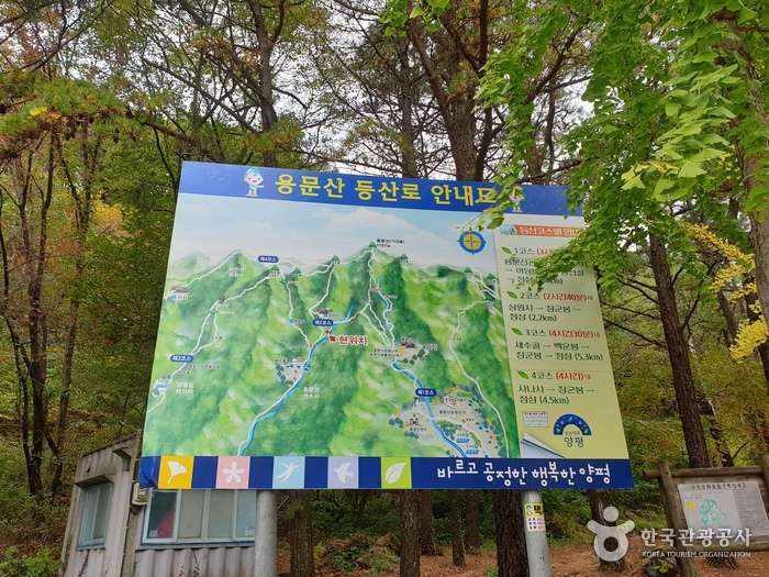 관광지_경기_양평_용문산_4