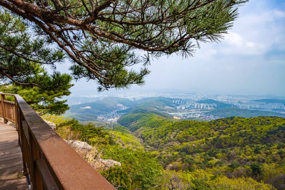 용인 8경_2경 광교산사계 (1)