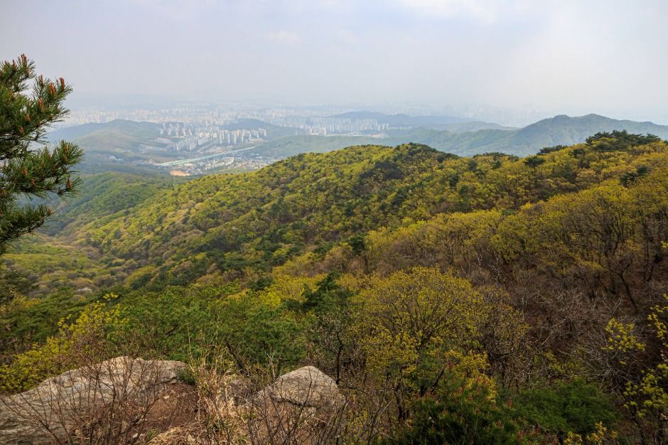 용인 8경_2경 광교산사계 (2)