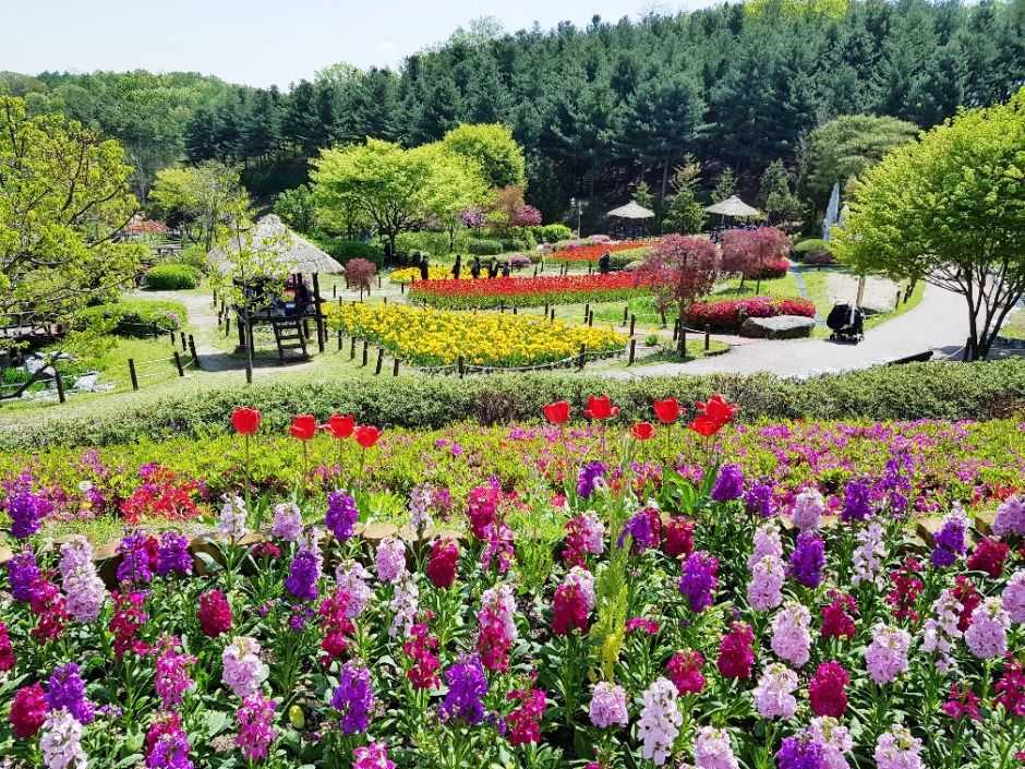 용인 8경_4경 용인농촌테마파크 (3)