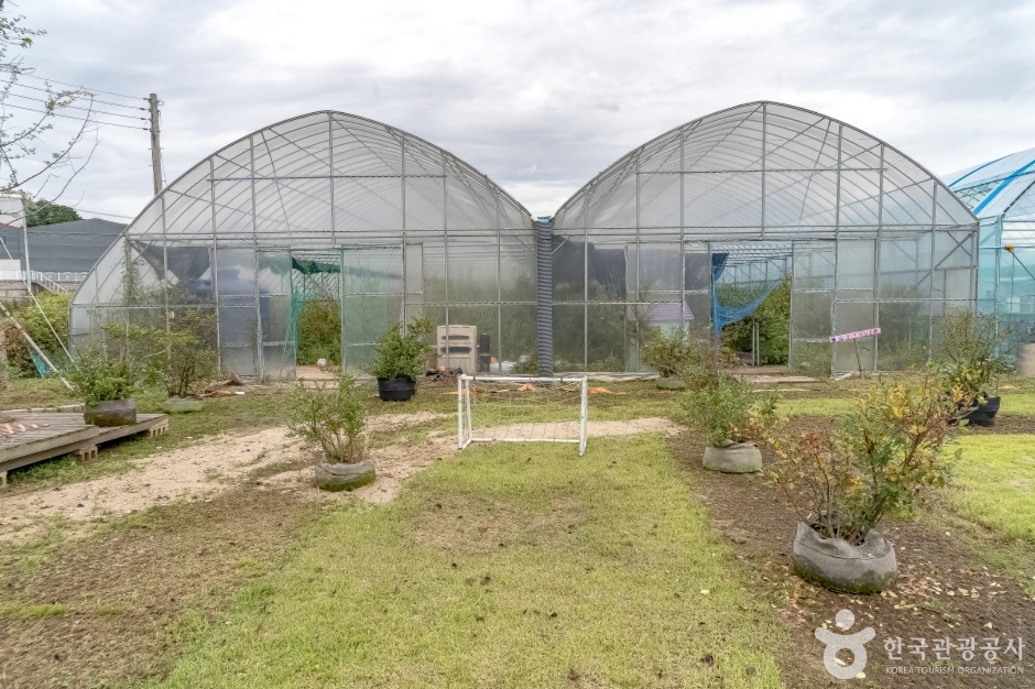 용인청정팜 (11)