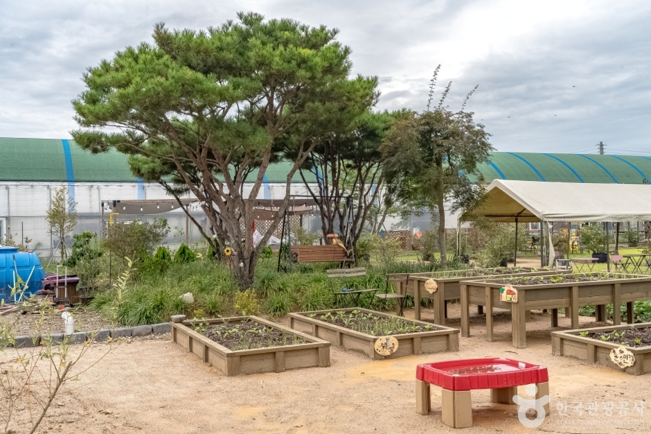 용인청정팜 (19)