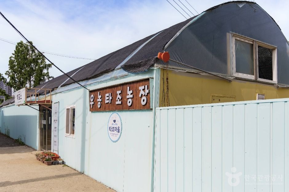 파주_우농타조농장 (1)