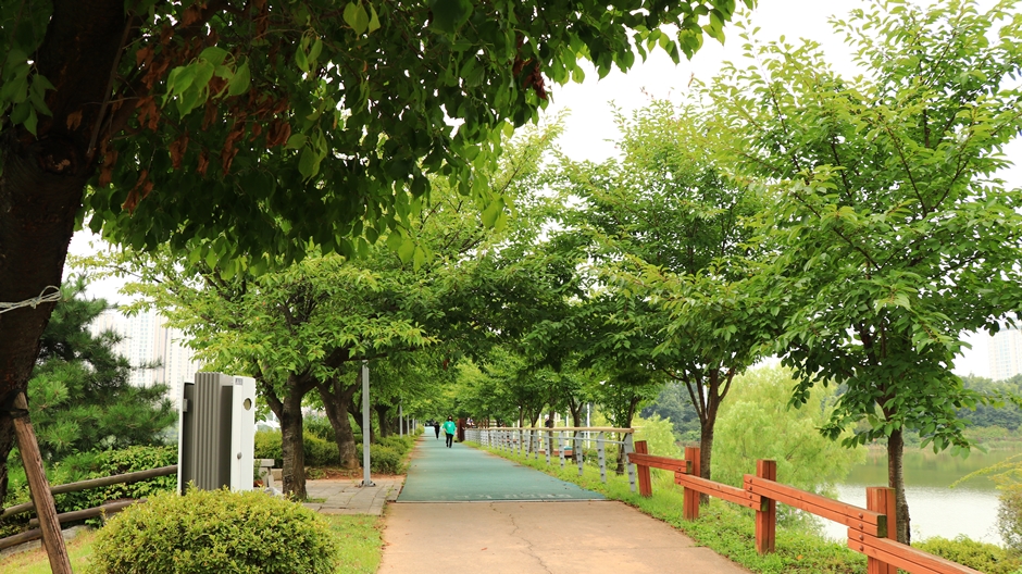 운정호수공원_산책로