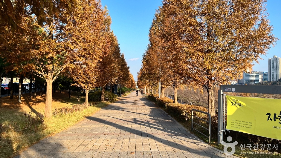 운정호수공원_6