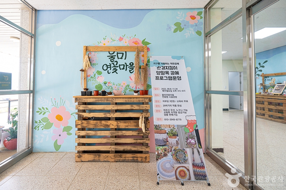 울미연꽃마을 (12)