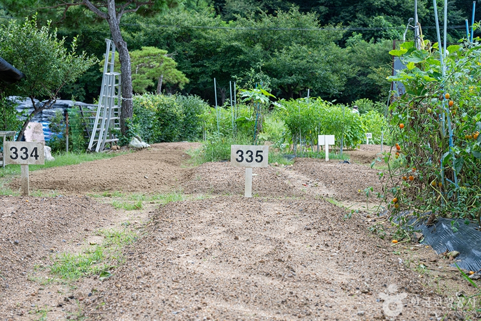 원두막주말농장 (4)