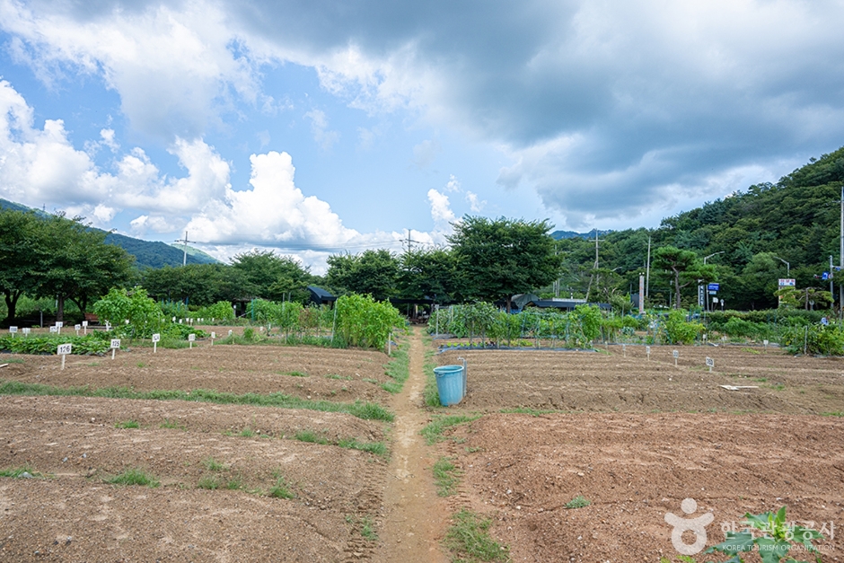 원두막주말농장 (10)
