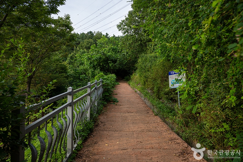 월롱시민공원 (6)