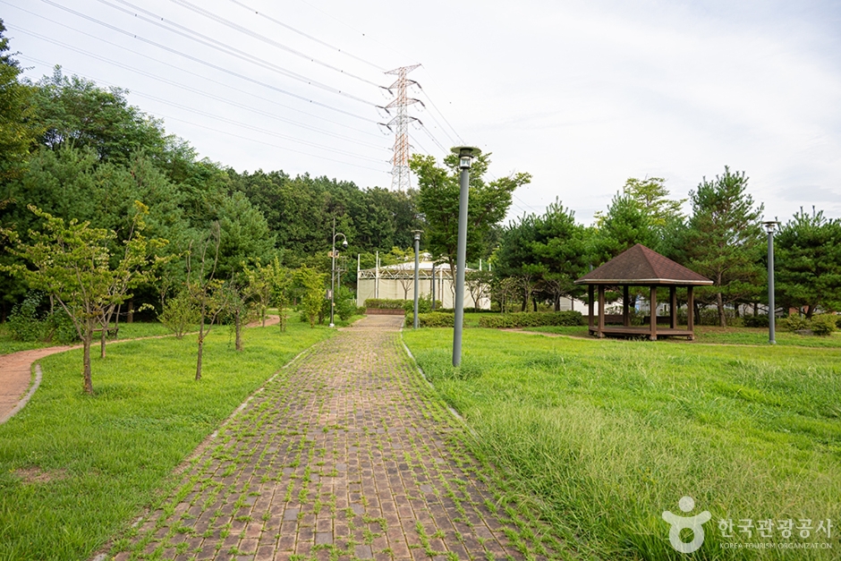 월롱시민공원 (11)