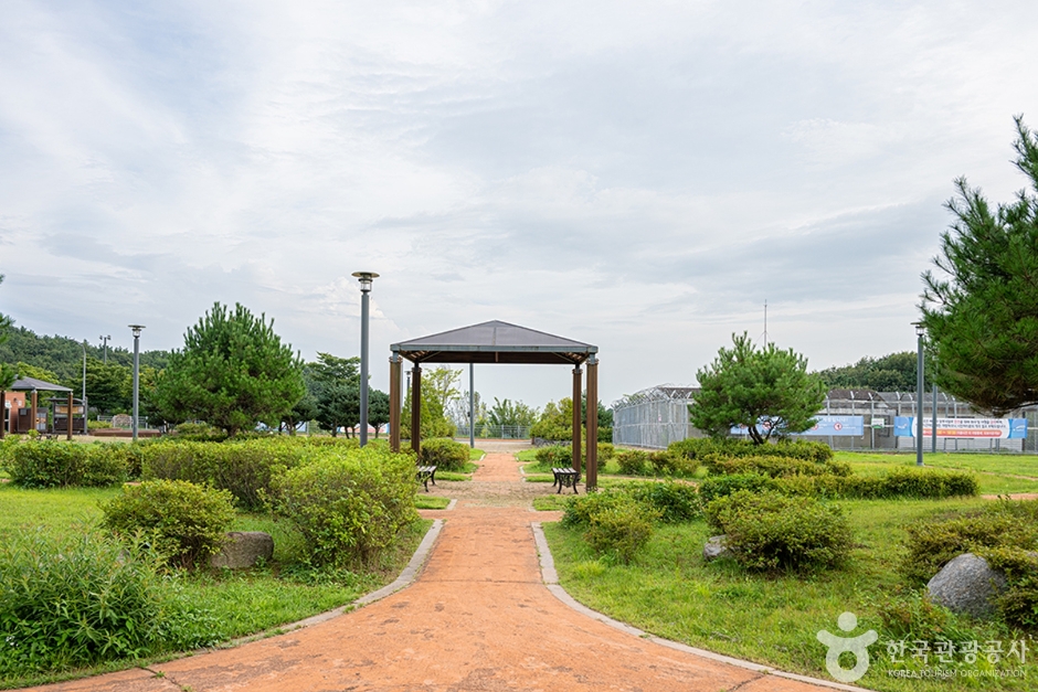 월롱시민공원 (12)