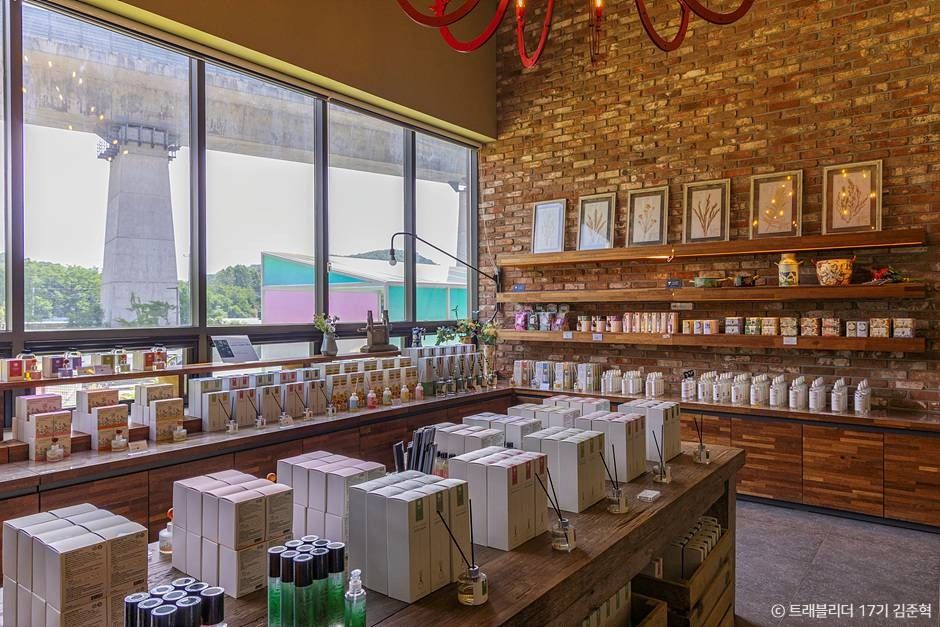 안산_유니스의정원 보타닉하우스 (5)