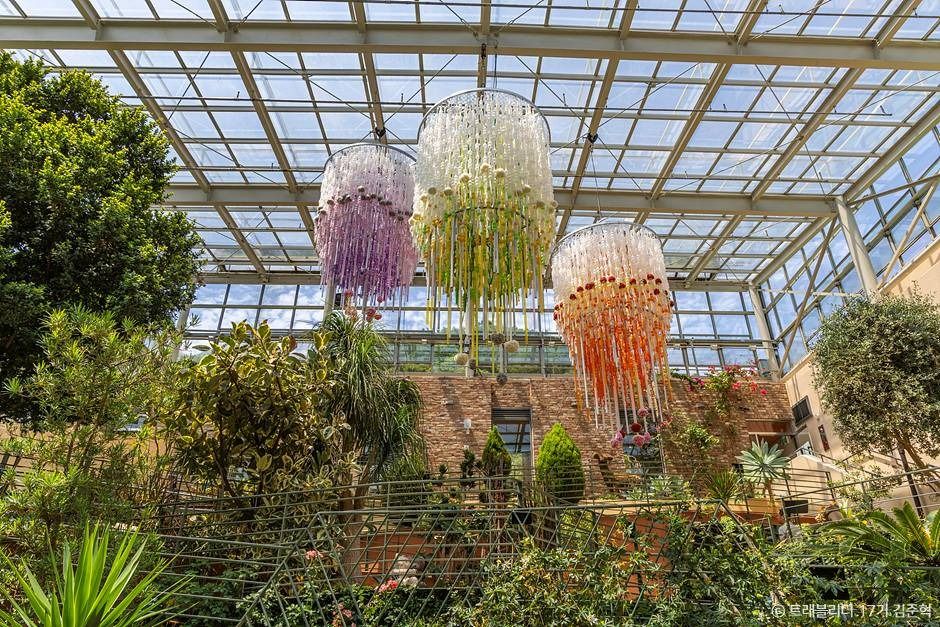 안산_유니스의정원 보타닉하우스 (7)