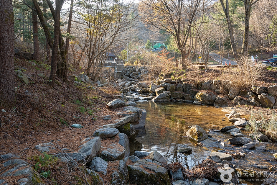 유명산계곡 (4)