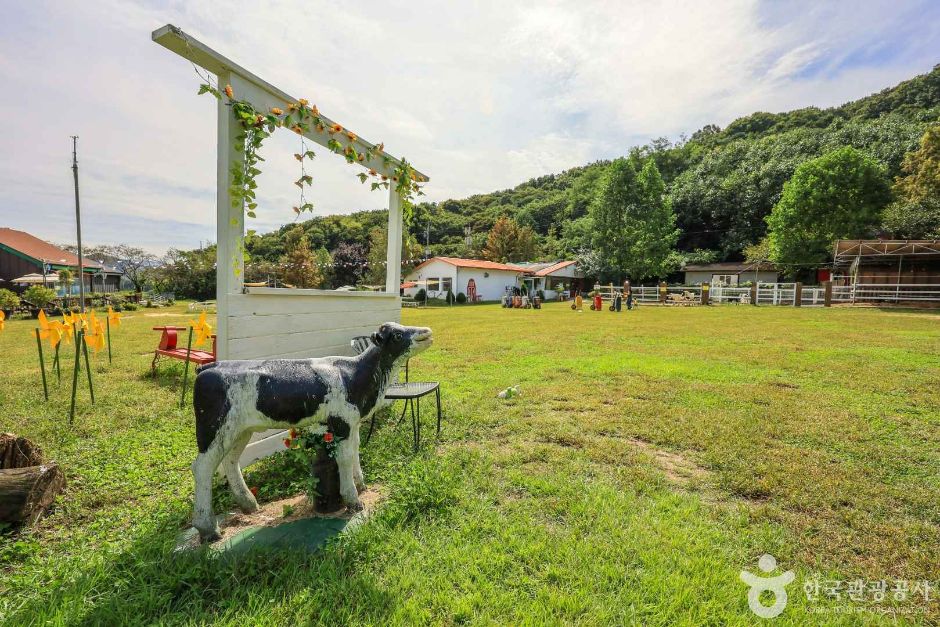 경기_여주_은아목장 (3)