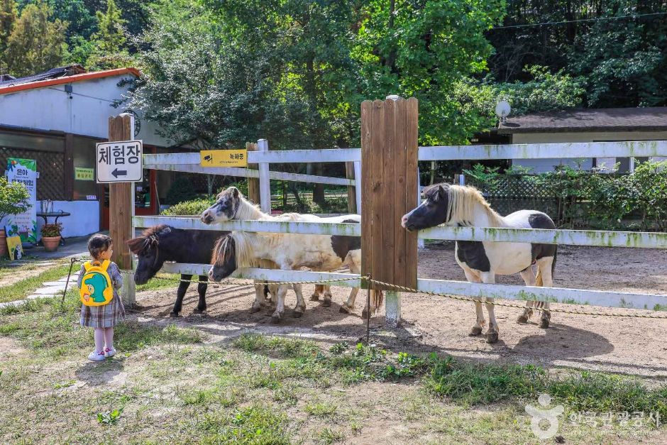 경기_여주_은아목장 (4)