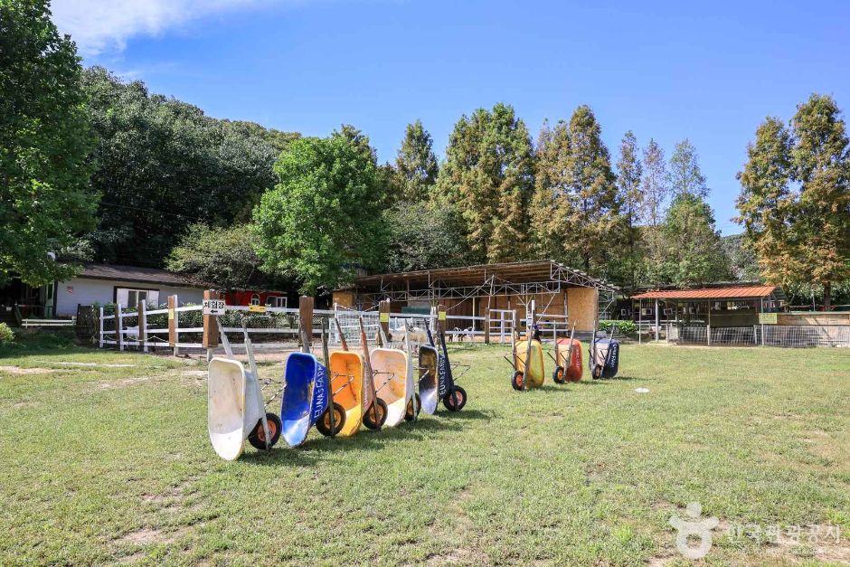 경기_여주_은아목장 (5)